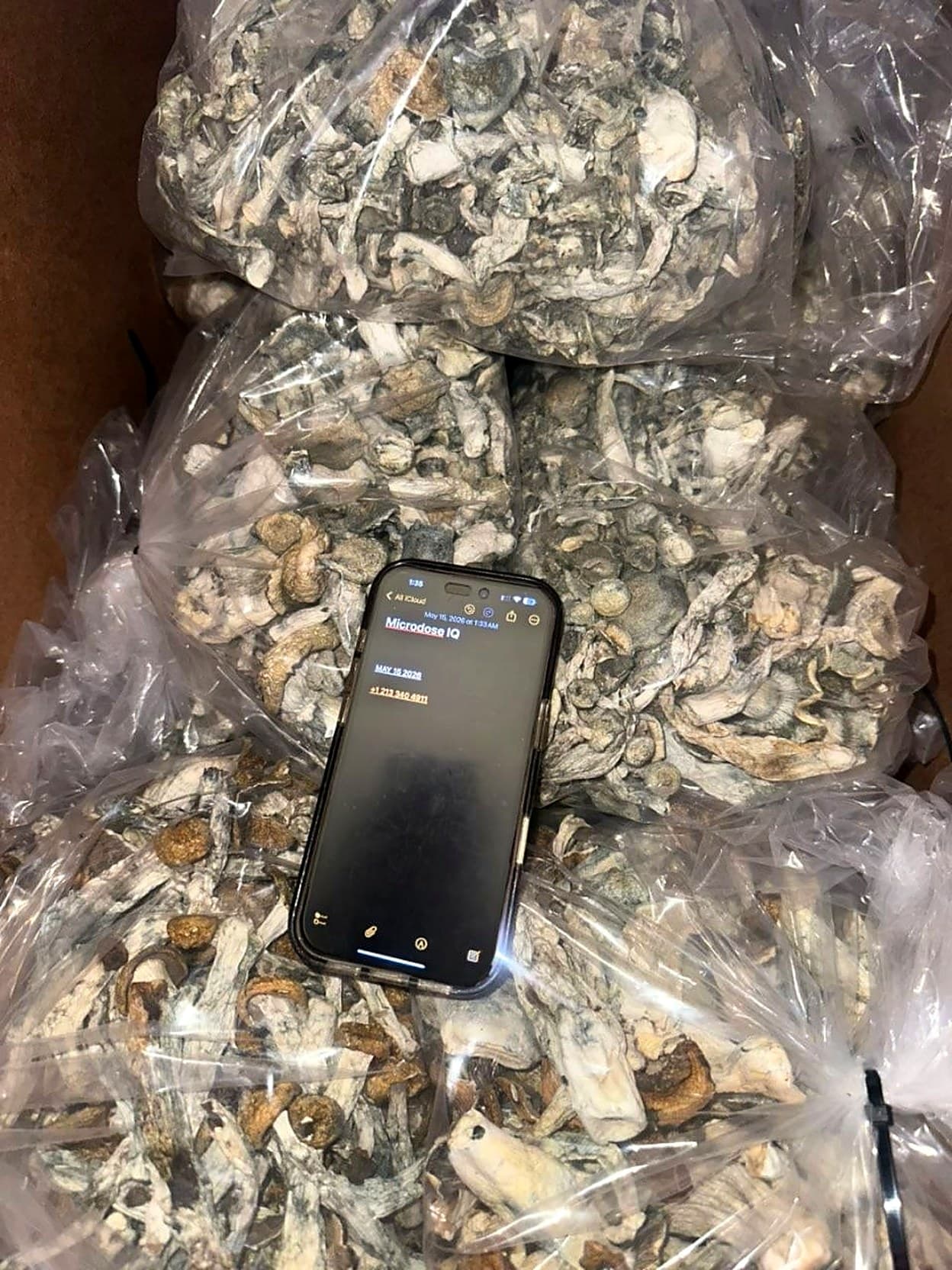 Bulk dried psilocybin mushrooms in a bag with the MicroDose IQ contact number on display