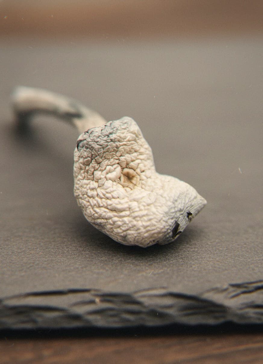 Macro close-up of a dried Avery's Albino mushroom cap and stem (Psilocybe cubensis)