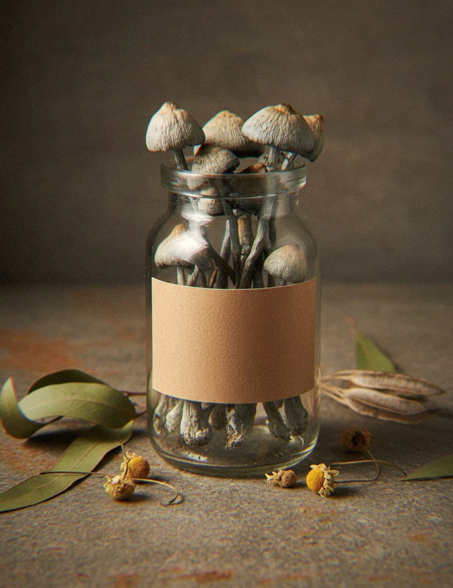 Dried Panaeolus cyanescens mushrooms in an apothecary jar — MicroDose IQ strain guide